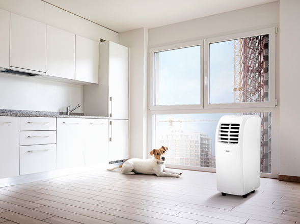 Мобильный кондиционер Ballu BPAC-09 CP-IN_22Y